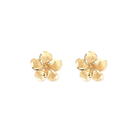 Brushed Flower Stud Earrings in 9kt Yellow Gold -  Paddington Jeweller - OJ Co
