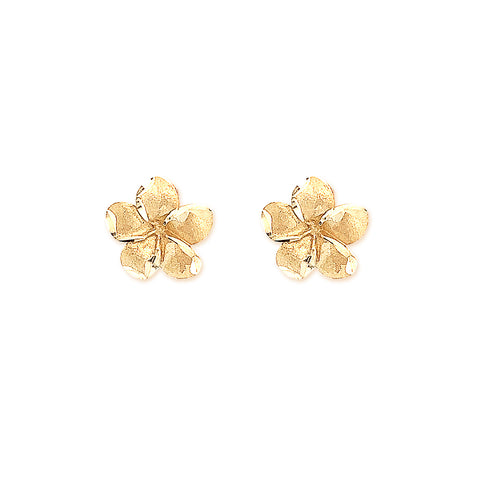 Brushed Flower Stud Earrings in 9kt Yellow Gold -  Paddington Jeweller - OJ Co