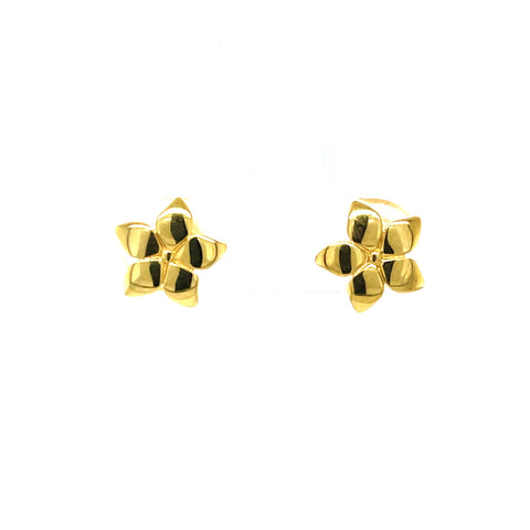 9kt Yellow Gold Shiny Flower Studs Earrings -  Paddington Jeweller - OJ Co