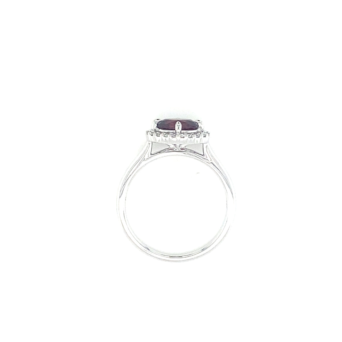 PETRIA - CM -  Paddington Jeweller - Ojco