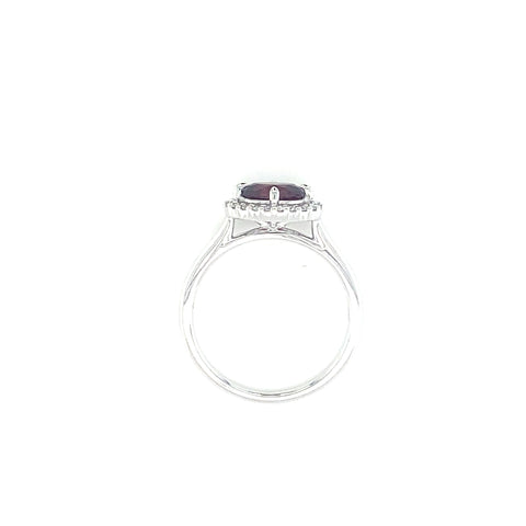 PETRIA - CM -  Paddington Jeweller - Ojco