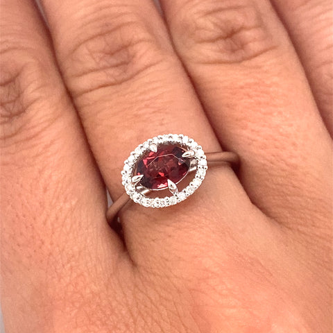 PETRIA - CM -  Paddington Jeweller - Ojco
