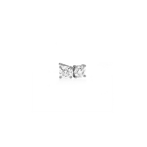 MELINA STUDS -  Paddington Jeweller - Ojco