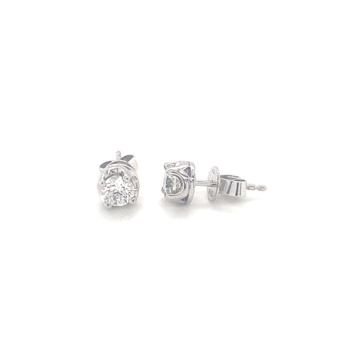 AUGUSTINA -  Paddington Jeweller - Ojco