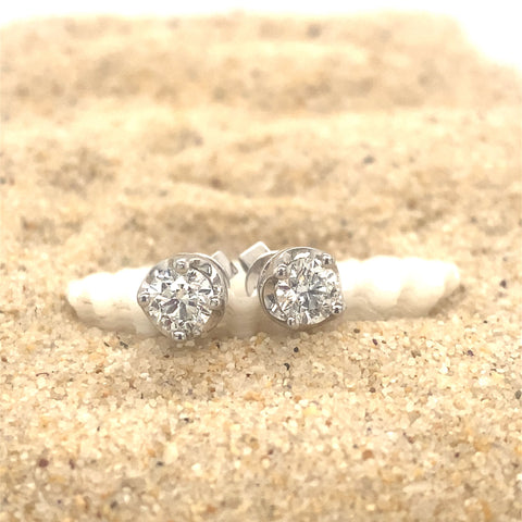 AUGUSTINA -  Paddington Jeweller - Ojco