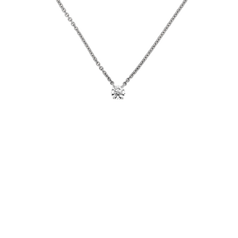 OLIVIA -  Paddington Jeweller - Ojco