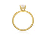 NIKITA -Paddington Jeweller - Ojco