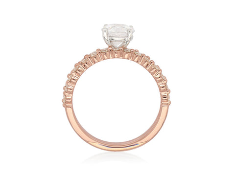 ZENITH -  Paddington Jeweller - Ojco