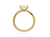 DONNA -Paddington Jeweller - Ojco