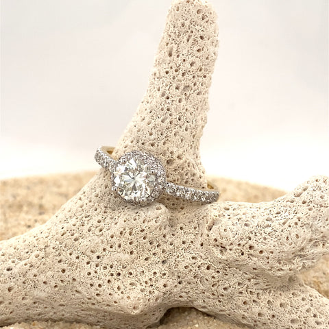 VICTORIA -  Paddington Jeweller - Ojco